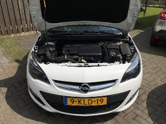 Opel Astra 1.7 CDTi 16V 110pk business picture 17