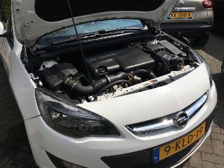 Opel Astra 1.7 CDTi 16V 110pk business picture 18