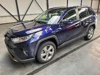 Autoverwertung Toyota Rav-4 Hybrid 2.5 131-KW Automaat 2-WD Panoramadak 2019/1