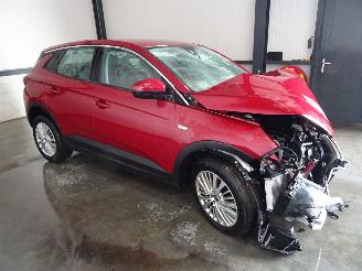 uszkodzony samochody ciężarowe Opel Grandland 1.2 THP AUTOMAAT 2020/6