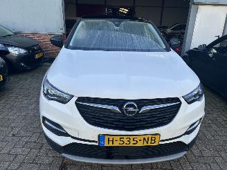 Opel Grandland X  1.2 Turbo Business Executive picture 2