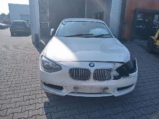 BMW  2013 BMW 118D picture 1
