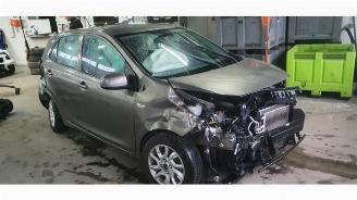 Coche accidentado Kia Picanto Picanto (JA), Hatchback, 2017 1.0 12V 2019/3