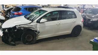škoda osobní automobily Volkswagen Golf Golf VII (AUA), Hatchback, 2012 / 2021 1.2 TSI BlueMotion 16V 2013/2