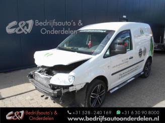 škoda osobní automobily Volkswagen Caddy Caddy III (2KA,2KH,2CA,2CH), Van, 2004 / 2015 1.9 TDI 2005/9