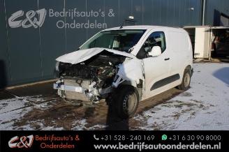 damaged passenger cars Opel Combo Combo Cargo, Van, 2018 1.6 CDTI 100 2019/6