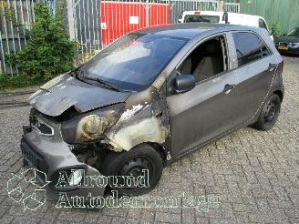Voiture accidenté Kia Picanto Picanto (TA) Hatchback 1.0 12V (G3LA) [51kW]  (05-2011/06-2017) 2012/12