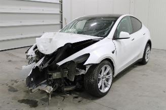Auto incidentate Tesla Model Y  2023/1