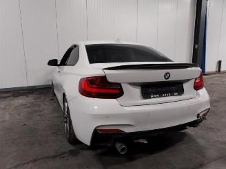 Voiture accidenté BMW 2-serie 2 serie (F22), Coupe, 2013 / 2021 218d 2.0 16V 2017/6