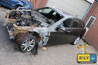 uszkodzony samochody osobowe BMW 5-serie F11 520dX 2014/6