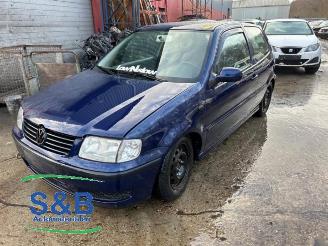 disassembly passenger cars Volkswagen Polo Polo III (6N2), Hatchback, 1999 / 2001 1.4 2001/4